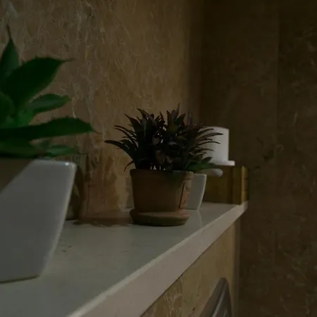 Avenida - كويمبرا